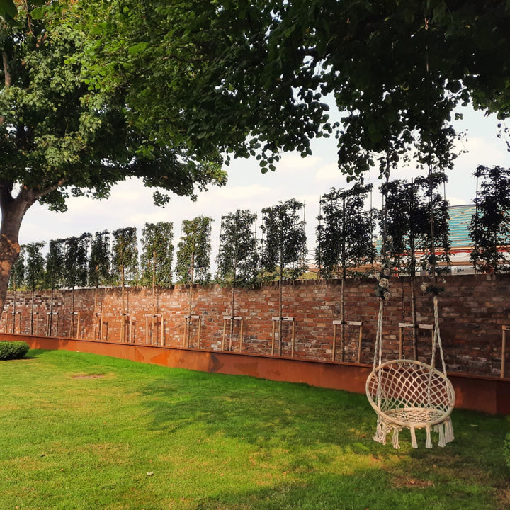 Corten Retaining Wall - Folded